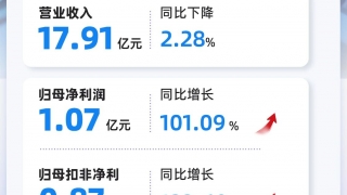 一圖讀懂 利亞德2025年三季度報告